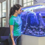 Young woman doing a water change in a reef tank