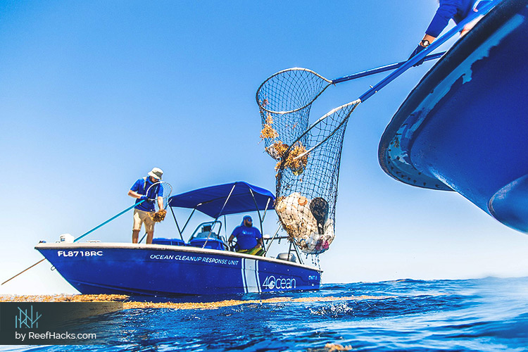 4Ocean Bracelets – Changing the Tides of Pollution and Conservation.