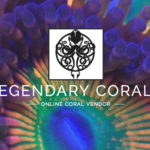 Legendary Corals