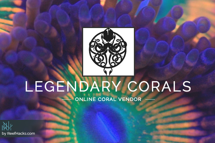 The Stuff Legends Are Made Of – Legendary Corals Review.