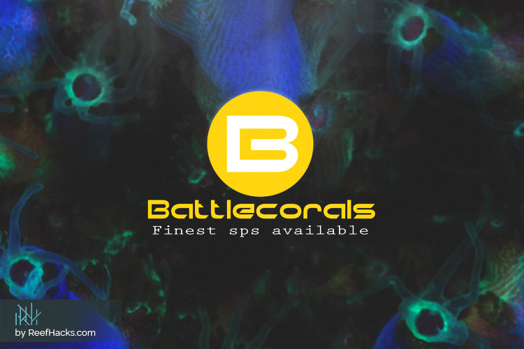 Win the War of Coral Shopping with BattleCorals – Official Vendor Review.