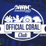 World Wide Corals Review
