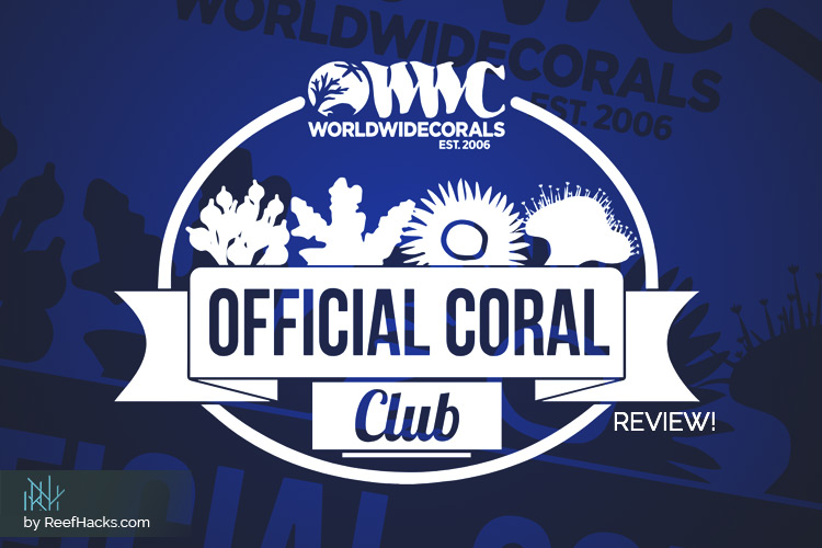 World Wide Corals Vendor Review – A Supplier as Brilliant as Their Corals.