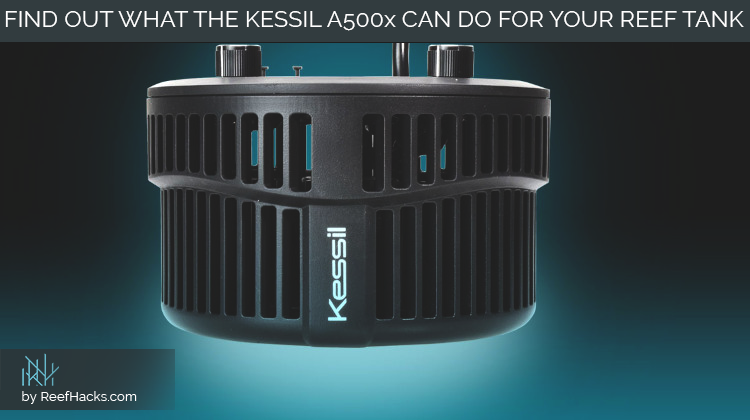 Kessil A500x Deep Dive