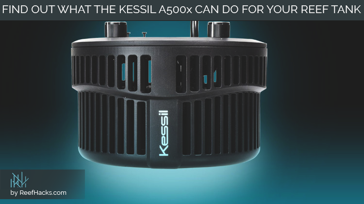Kessil A500X Deep Dive: Possibly the Best Reef Tank Light for Hobbyists with SPS Corals, Deep Tanks, and Deep Pockets