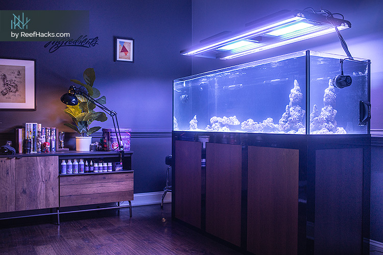 Philips, Giesemann Combine for Stellar Reef Aquarium LED/T5 Hybrid Lighting